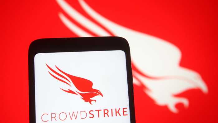       Windows,     CrowdStrike,  Bloomberg